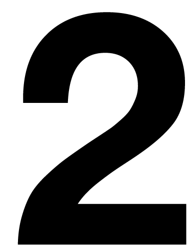 Icon 2