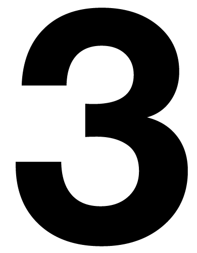 Icon 3