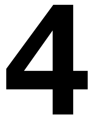 Icon 4