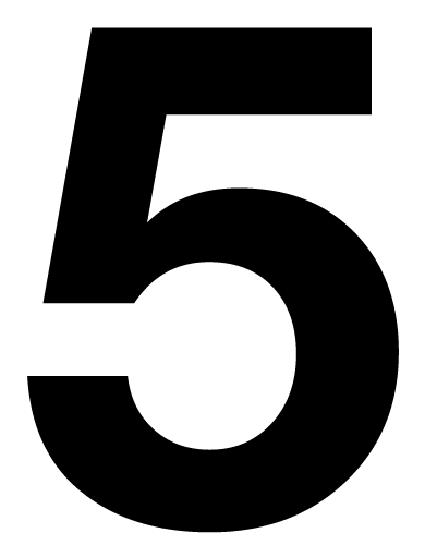 Icon 5