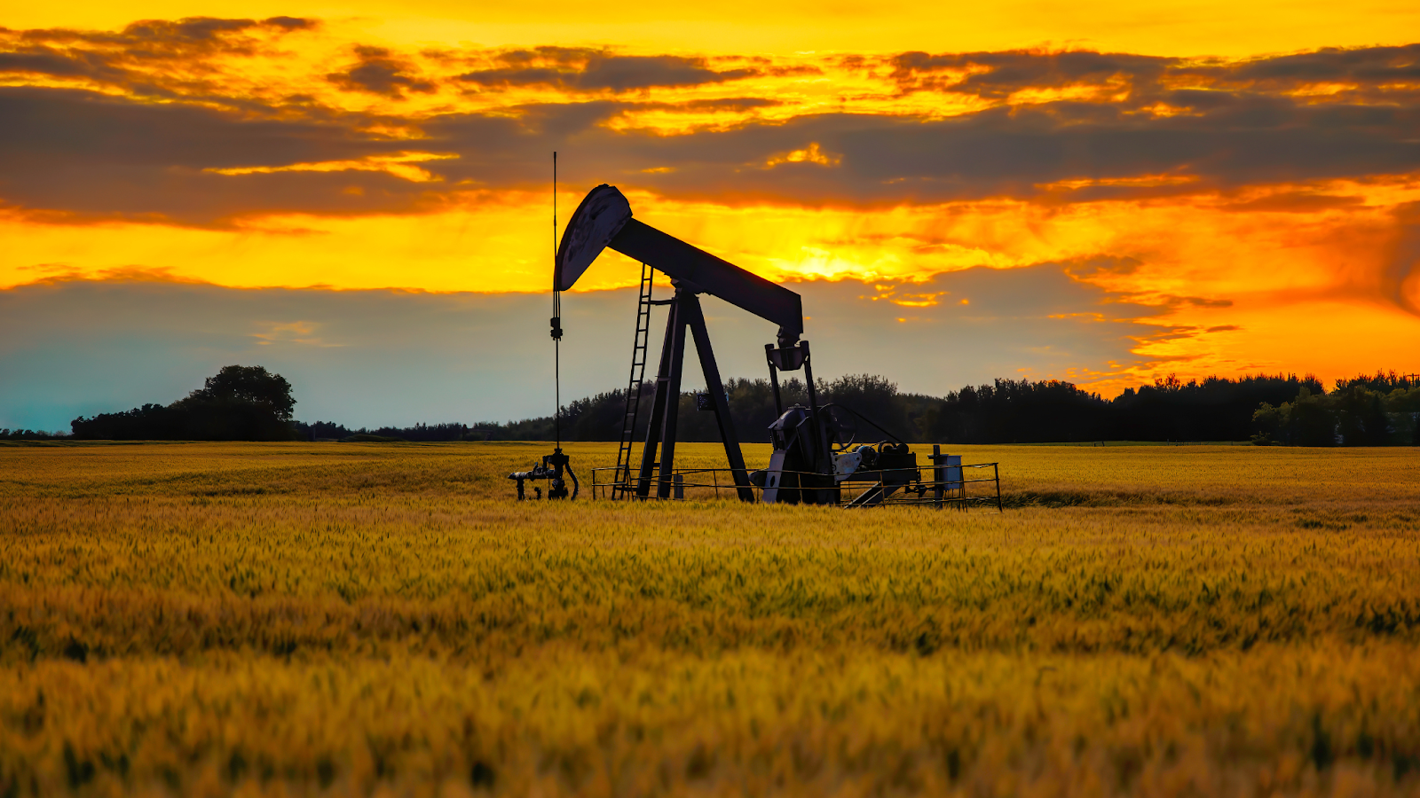 Texas Oil Rights