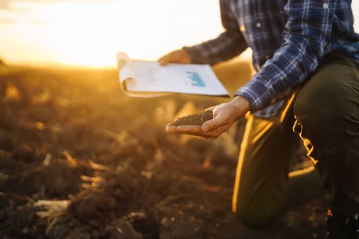 Mineral Rights vs Surface Rights