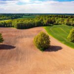 Buy Mineral Rights in Texas
